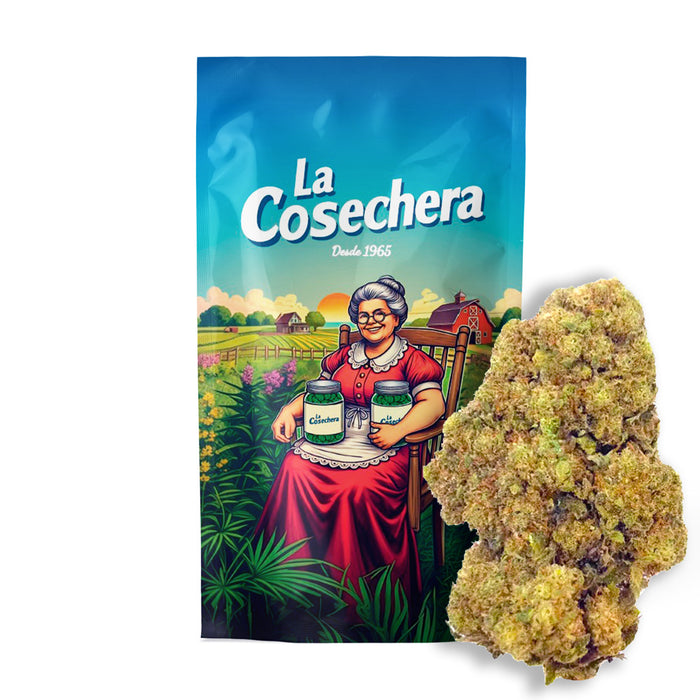 Cañamo Cbd La Cosechera Mimosa