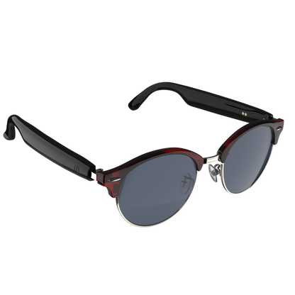 Gafas Meta7  inteligentes IA - color marrón