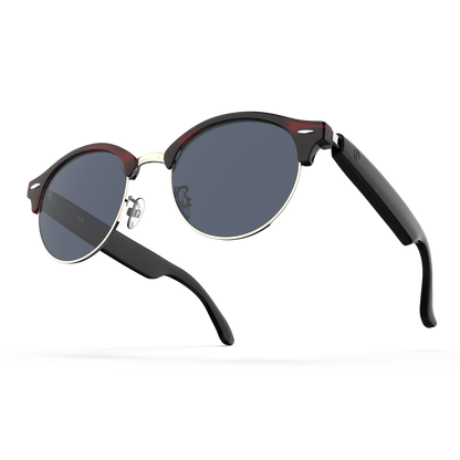 Gafas Meta7  inteligentes IA - color marrón