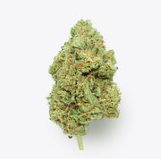 Cañamo Cbd Gorilla Grillz G.House Gelato