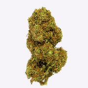 Cañamo Cbd Gorilla Grillz Outdoor Orange Cookies