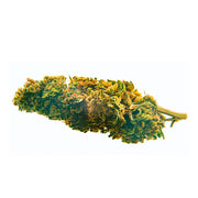 CBD Bee Blueberry